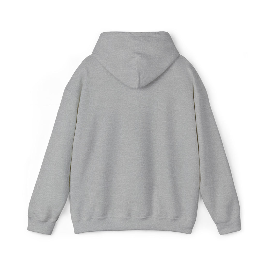 Quiet Iran Hoodie