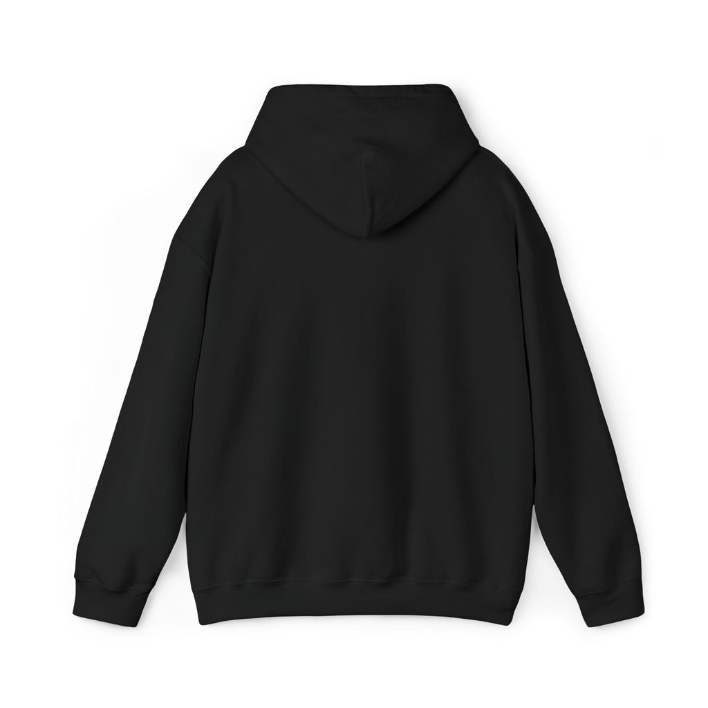 Quiet Iran Hoodie