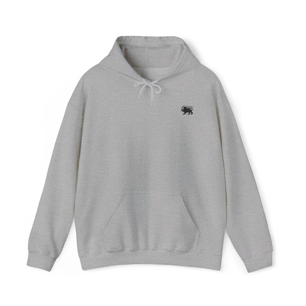 Quiet Iran Hoodie